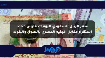 سعر الريال السعودي اليوم 29 مارس 2025: استقرار مقابل الجنيه المصري بالسوق والبنوك